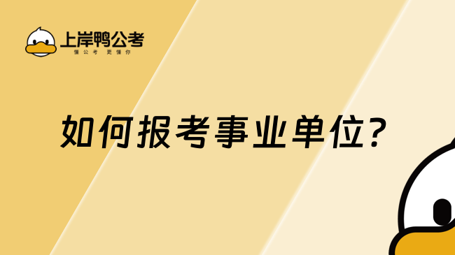  如何報考事業(yè)單位？附保姆級教程！