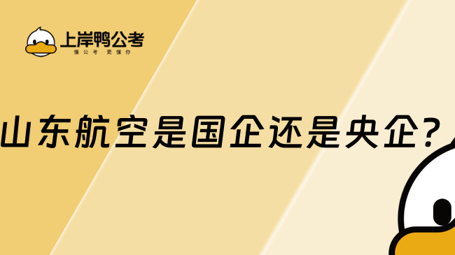 山东航空是国企还是央企？