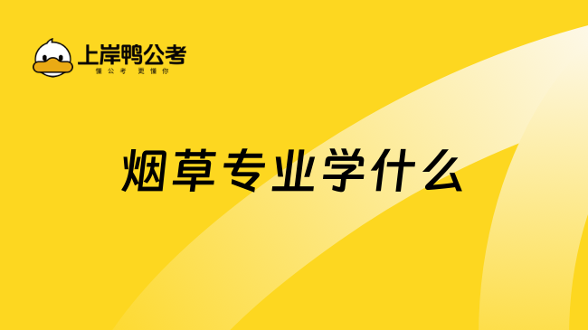 煙草專業(yè)學什么？疑問解答！