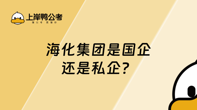 海化集团是国企还是私企？