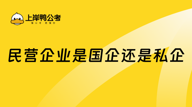 民營企業(yè)是國企還是私企？一文解答！