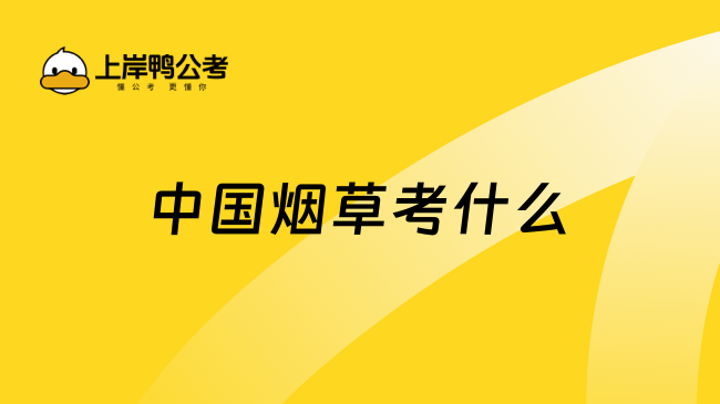 中國(guó)煙草考什么?考生必看！