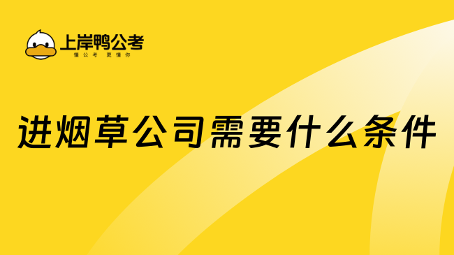 进烟草公司需要什么条件?一文解答！