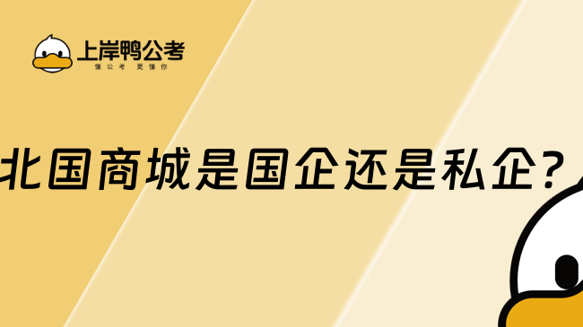 北国商城是国企还是私企？