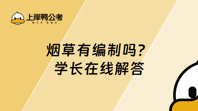 烟草有编制吗？学长在线解答