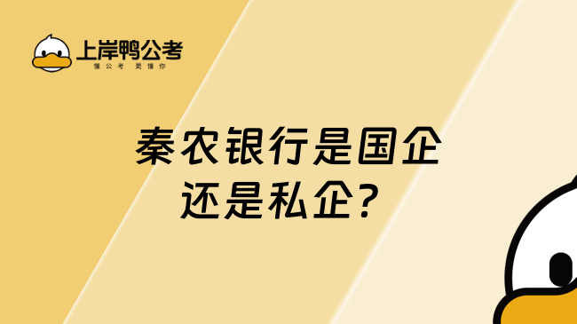 秦农银行是国企还是私企？