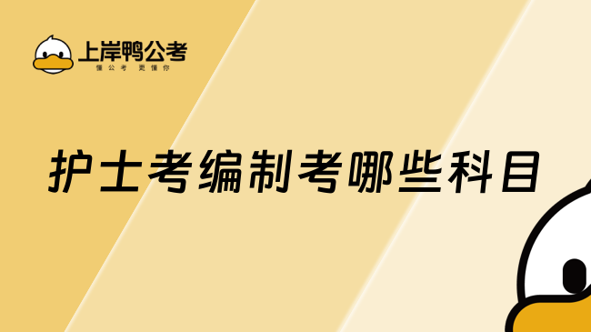 護(hù)士考編制考哪些科目，學(xué)長為你詳細(xì)講解