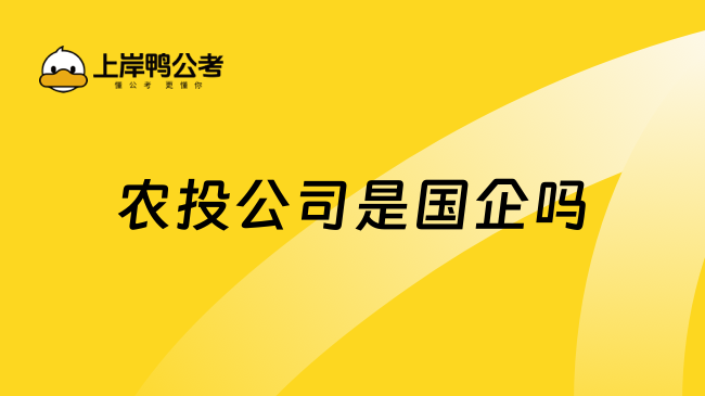 农投公司是国企吗?疑惑解答！