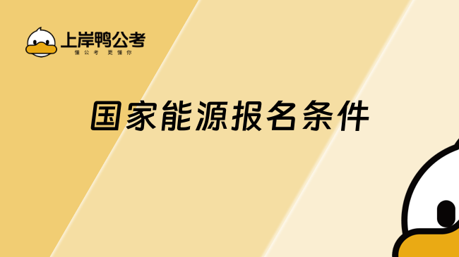 国家能源报名条件