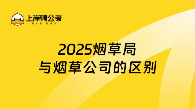 2025煙草局與煙草公司的區(qū)別？大有不同