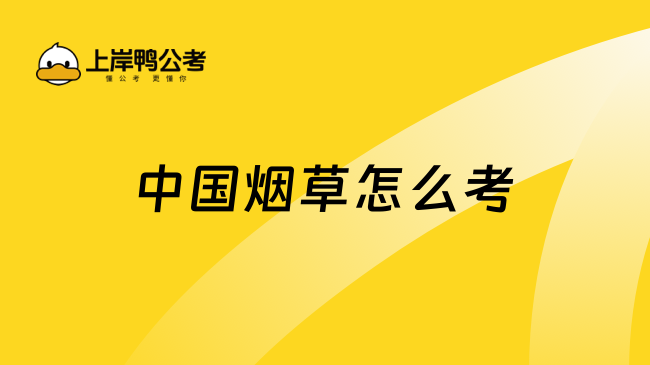 中國煙草怎么考？終于有人說清了！