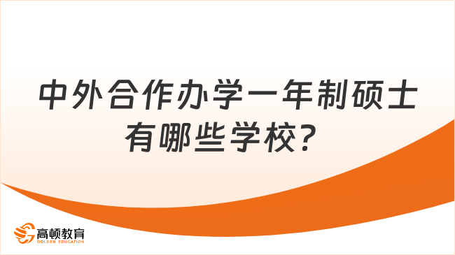 中外合作办学一年制硕士有哪些学校？