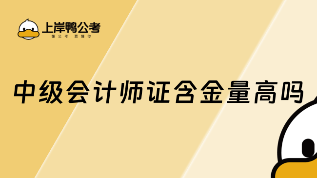 中级会计师证含金量高吗