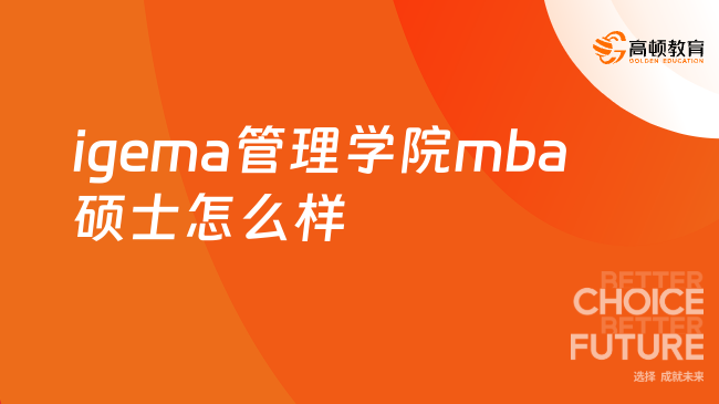 igema管理學(xué)院mba碩士怎么樣