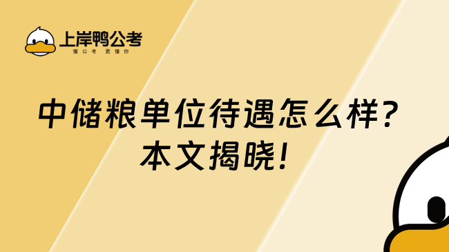 中储粮单位待遇怎么样？本文揭晓！