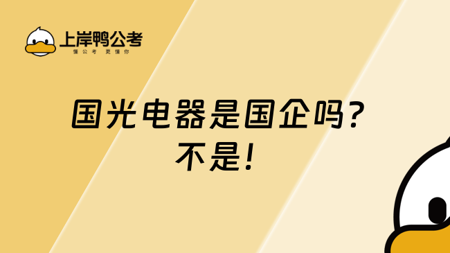 国光电器是国企吗？不是！
