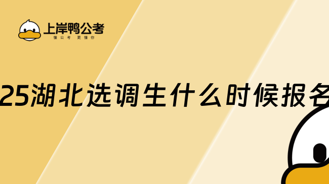 2025湖北選調生什么時候報名？12月30日