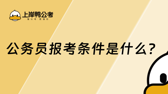 公務(wù)員報考條件是什么？2025最新解讀