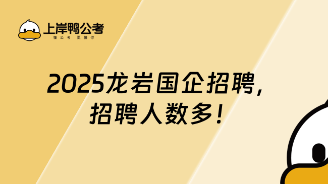 2025龍巖國企招聘，招聘人數多！