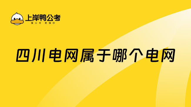 四川电网属于哪个电网