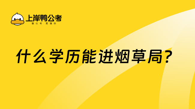 什么學歷能進煙草局？