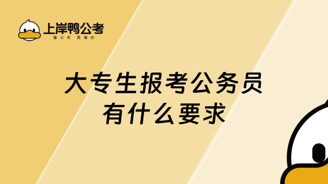 大專生報考公務(wù)員有什么要求