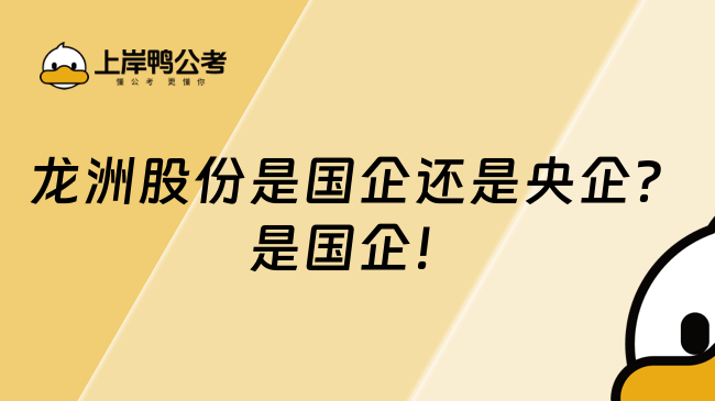 龙洲股份是国企还是央企？是国企！