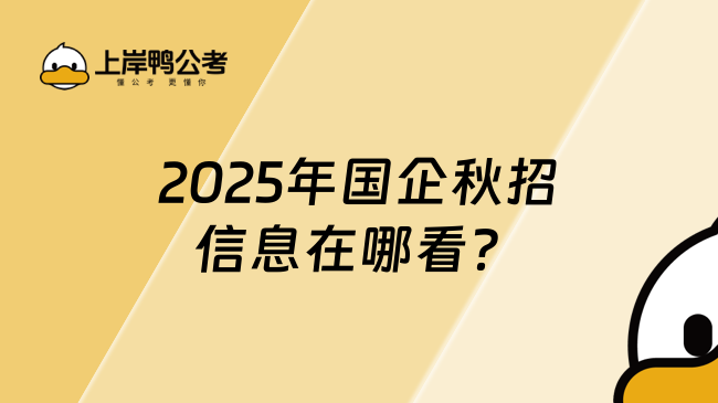 2025年國企秋招信息在哪看？報考流程一覽！