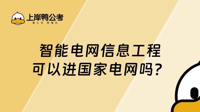 智能電網信息工程可以進國家電網嗎?