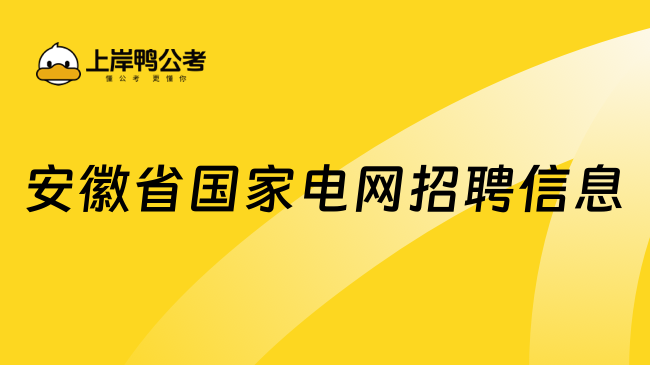 安徽省国家电网招聘信息