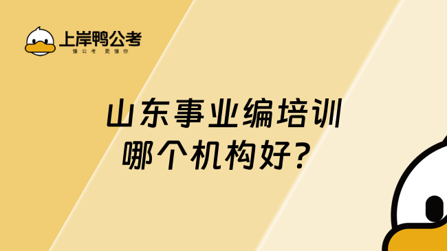 山东事业编培训哪个机构好？上岸鸭公考脱颖而出