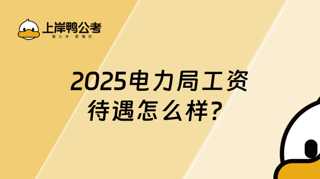 2025电力局工资待遇怎么样？