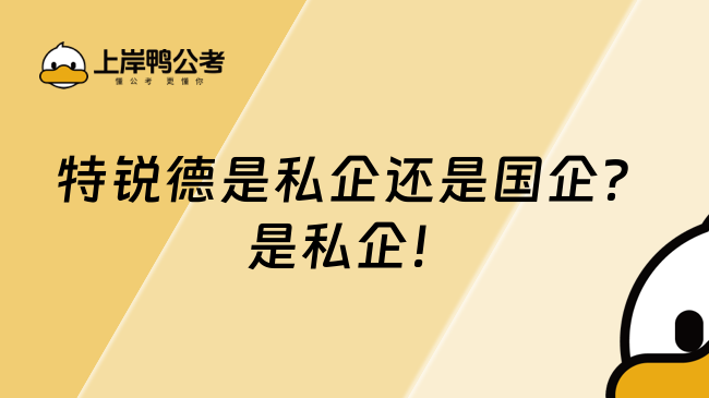 特锐德是私企还是国企?是私企!