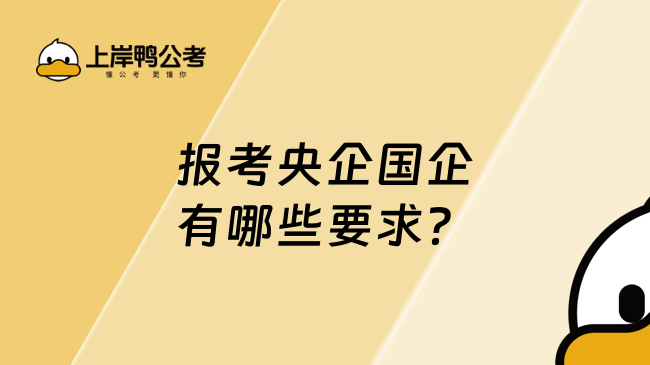 報考央企國企有哪些要求？2025年報考指南！