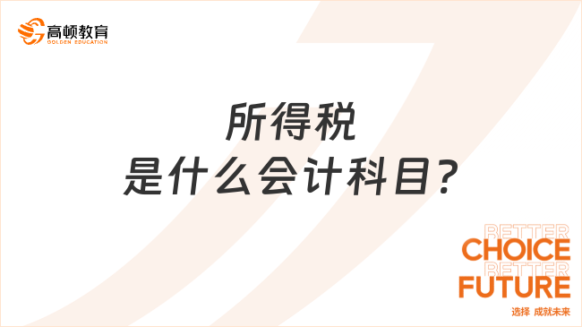 所得稅是什么會計科目?