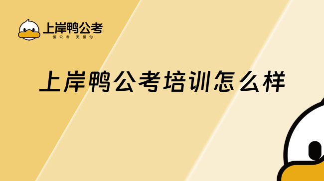 上岸鸭公考培训怎么样