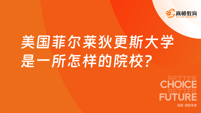 美国菲尔莱狄更斯大学是一所怎样的院校？