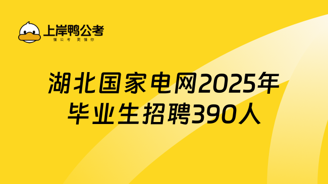 公告已出！湖北國家電網2025年高校畢業生招聘390人