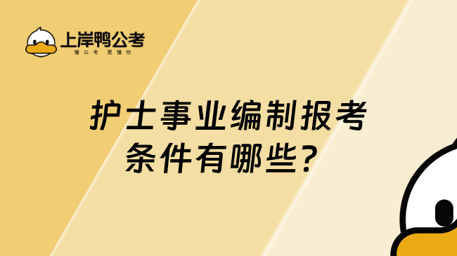 護(hù)士事業(yè)編制報(bào)考條件有哪些？