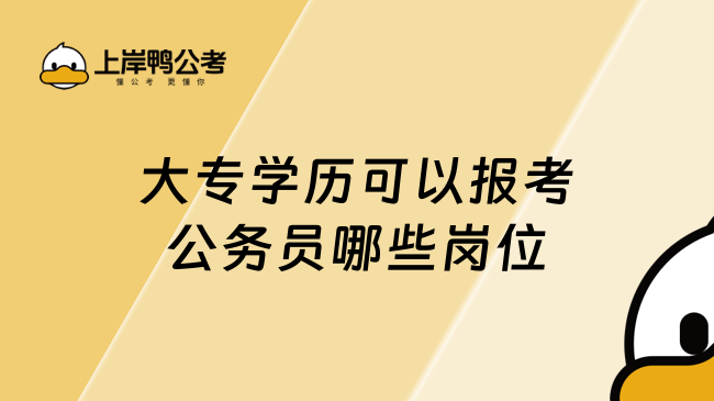 大专学历可以报考公务员哪些岗位