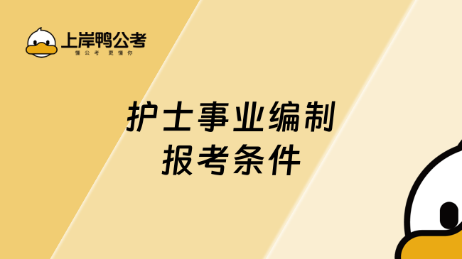 护士事业编制报考条件