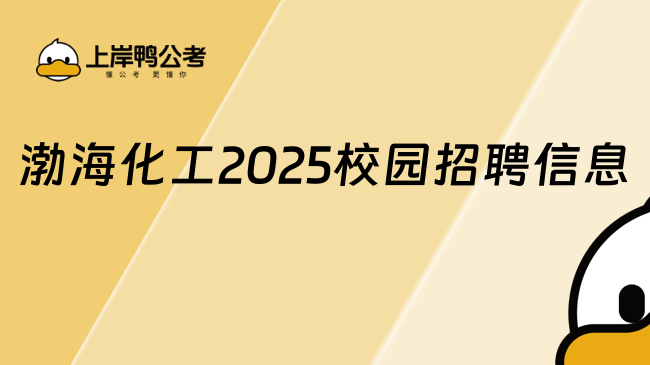 渤海化工2025校园招聘信息