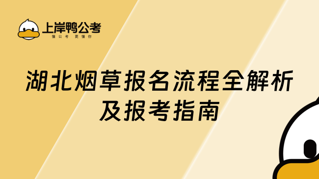 湖北烟草报名流程全解析及报考指南