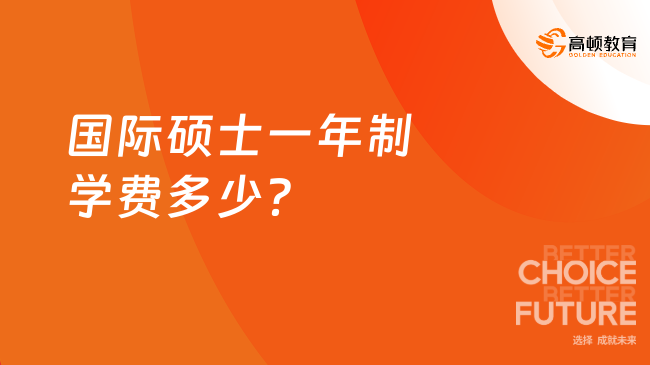 国际硕士一年制学费多少？