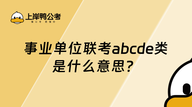 事业单位联考abcde类是什么意思？