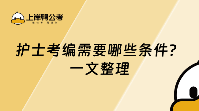 護(hù)士考編需要哪些條件？一文整理