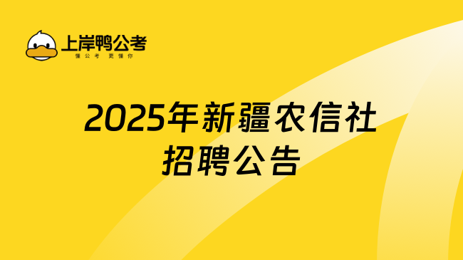2025年新疆農信社招聘公告