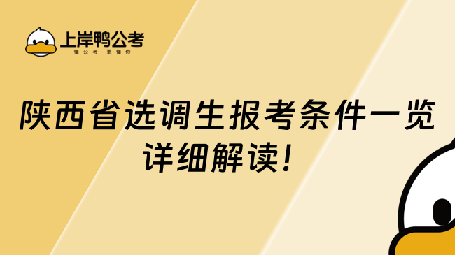陕西省选调生报考条件一览详细解读!