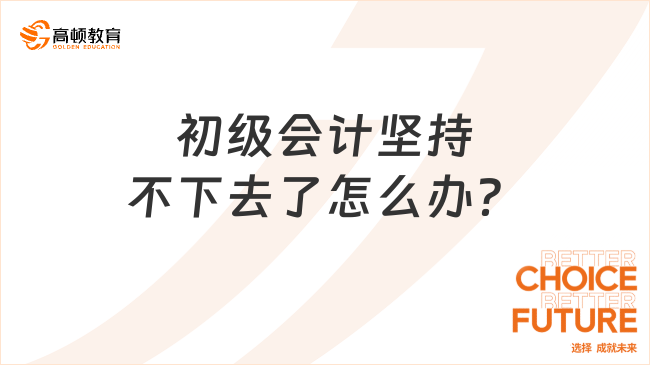 初級會計堅持不下去了怎么辦？來看看deepseek的回答