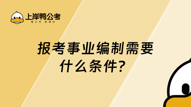 報(bào)考事業(yè)編制需要什么條件？一文整理要點(diǎn)